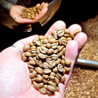 ❤️ Legend is born in November ➡️ Nicaragua Santa Helena Isabel Krásná a lahodná s neuveriteľne krásnymi zrnami Viac sa...